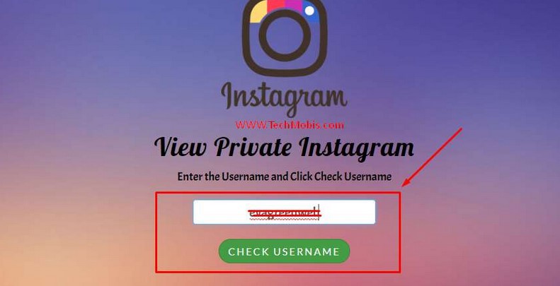 How to view private Instagram profiles 2022