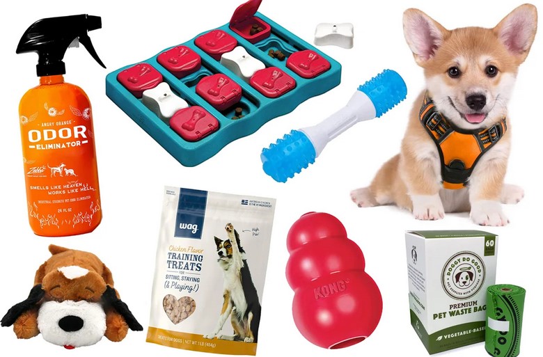 What do you need to buy when you have a dog?